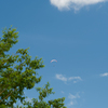 夏空