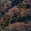 夕暮れの山肌