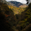 彩りの谷