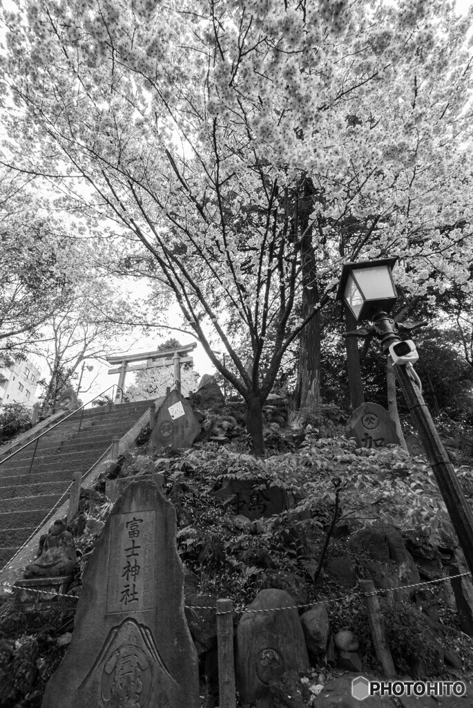 駒込富士神社
