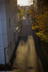 裏道の夕陽