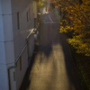 裏道の夕陽