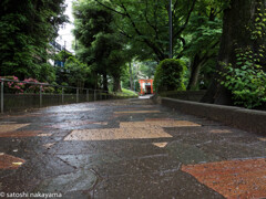 雨上がり