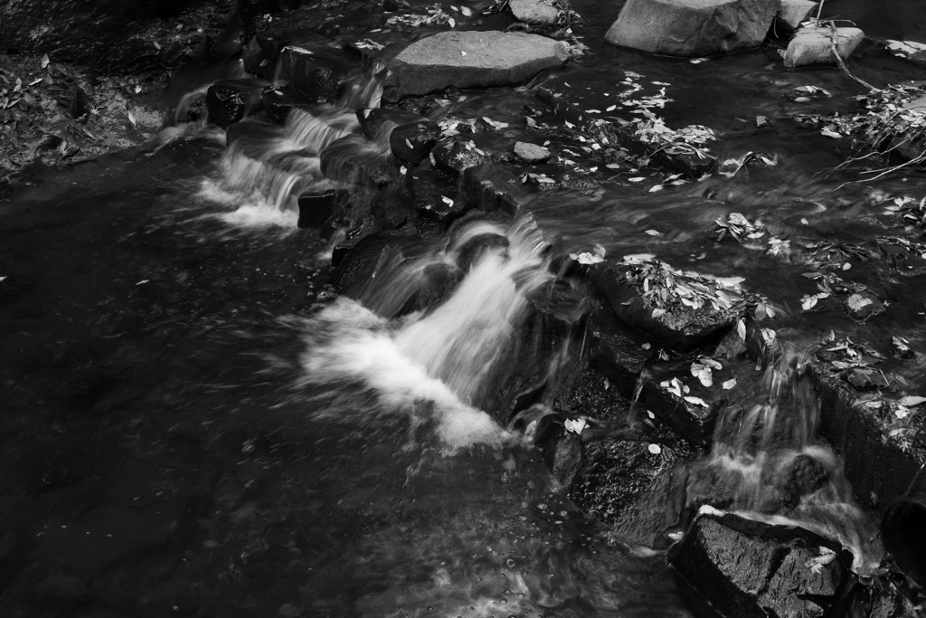 Zen B&W