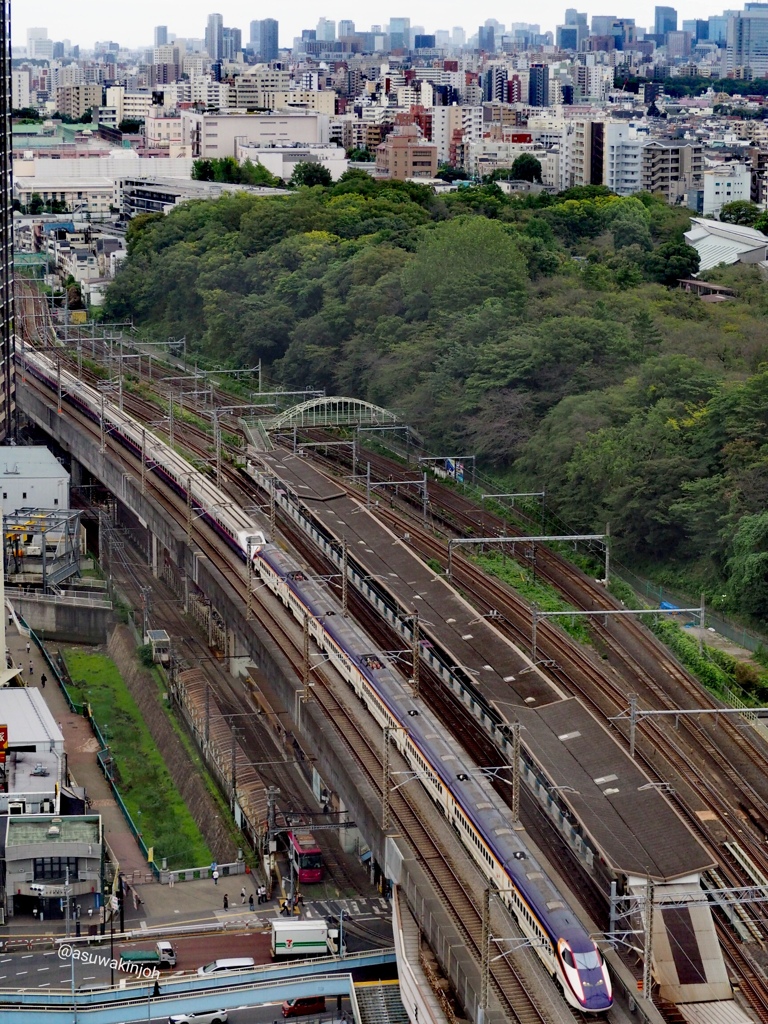 北とぴあから。