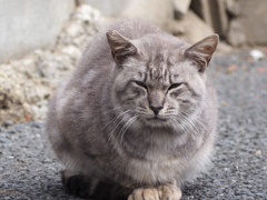 対峙ちう。