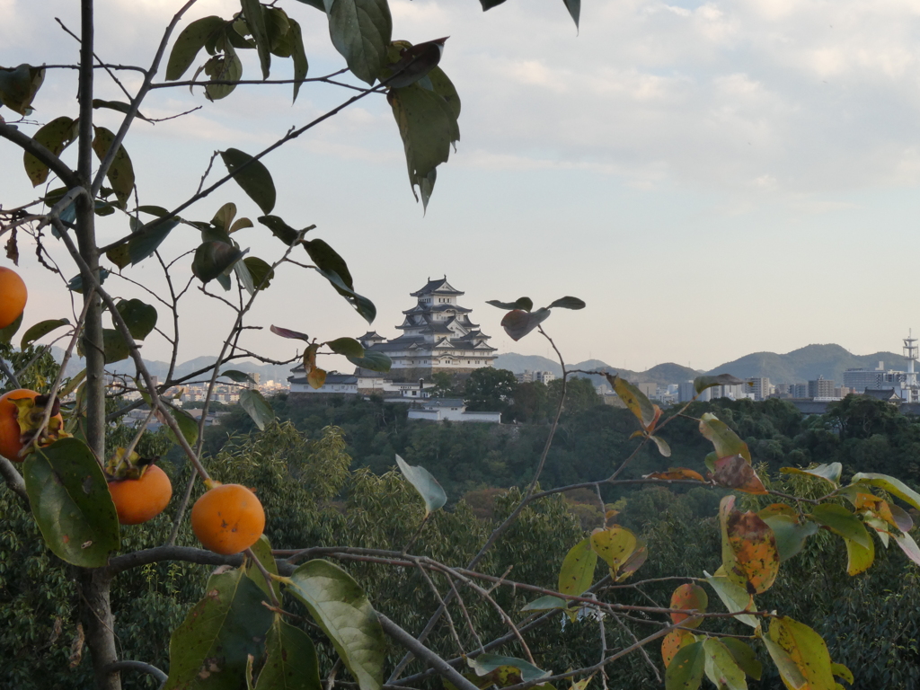秋の姫路城