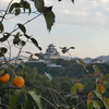 秋の姫路城