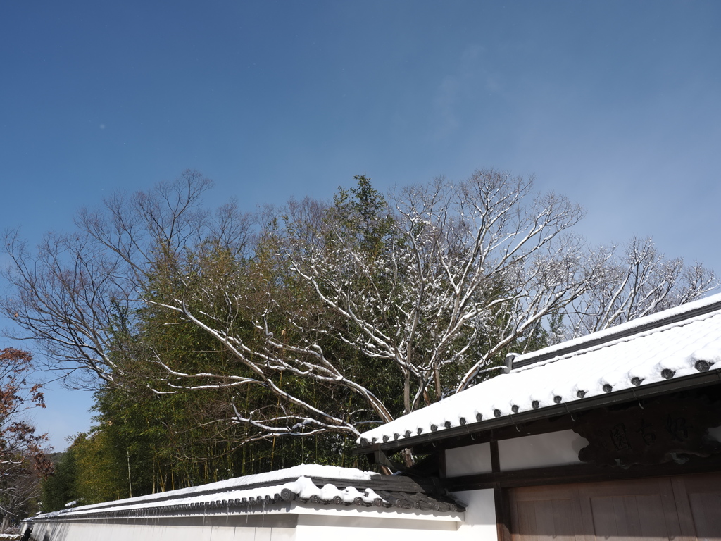 好古園　雪景色　３