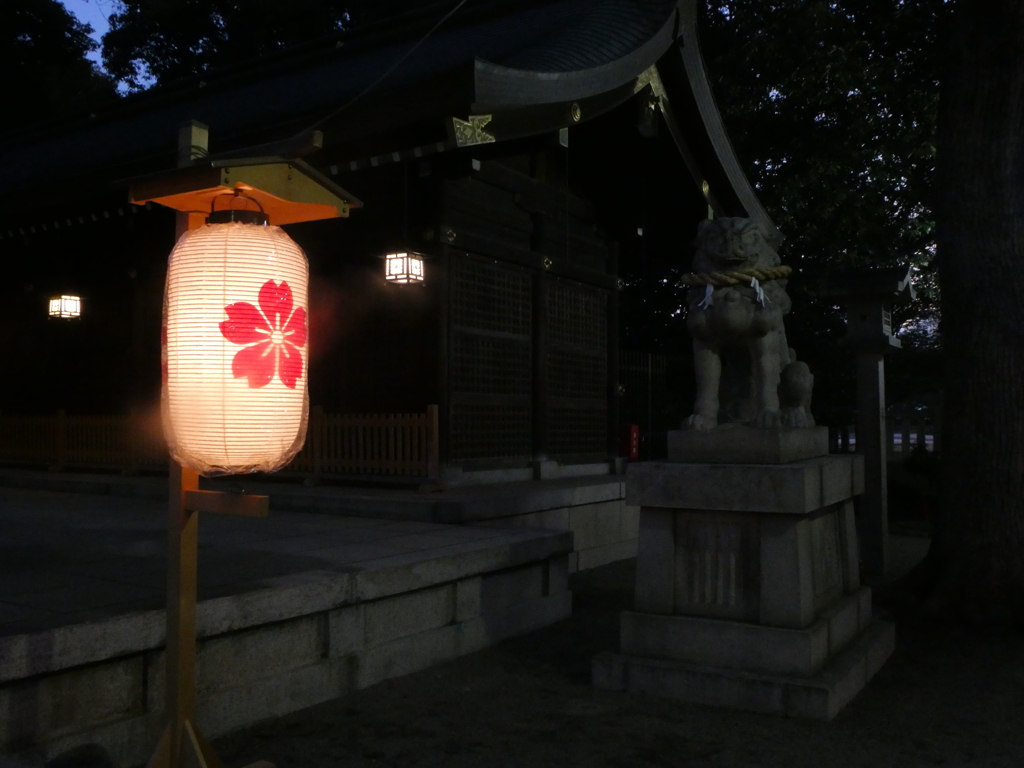 姫路靖國神社 新年万灯祭