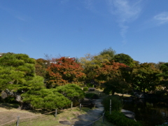 姫路城西御屋敷跡庭園　好古園　中庭