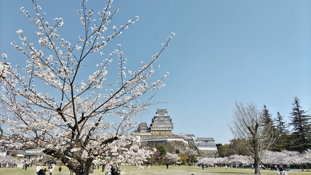 春の陽気