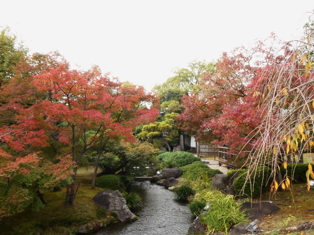 姫路城西御屋敷跡庭園　好古園　中庭