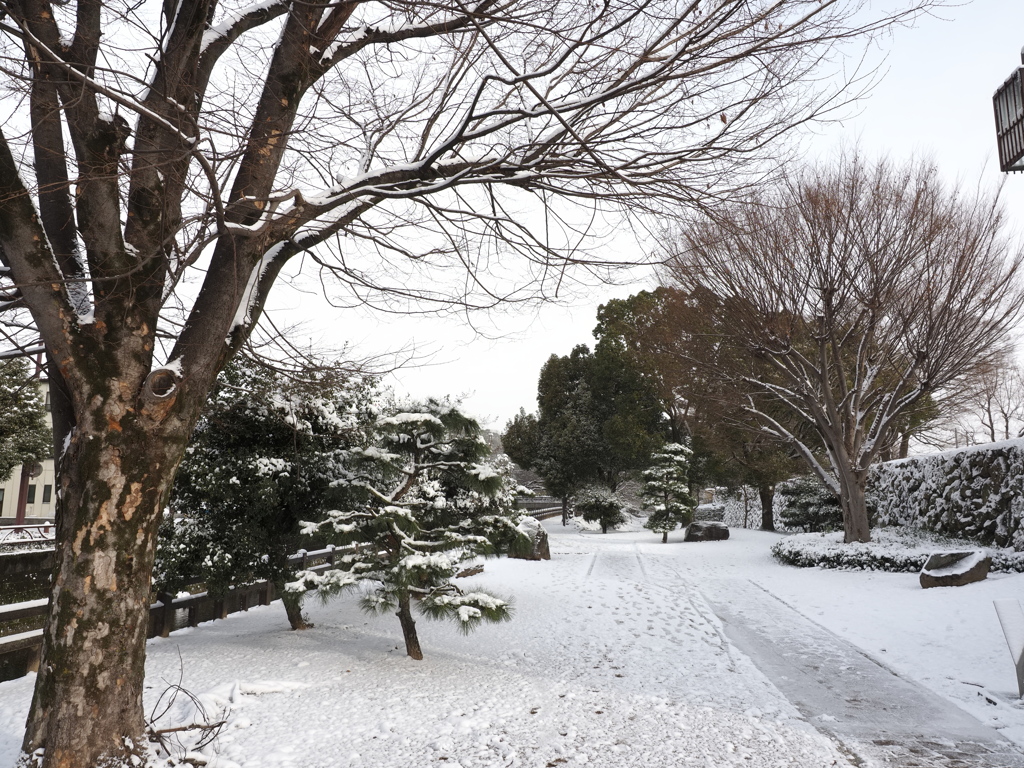 千姫の小径　　雪景色