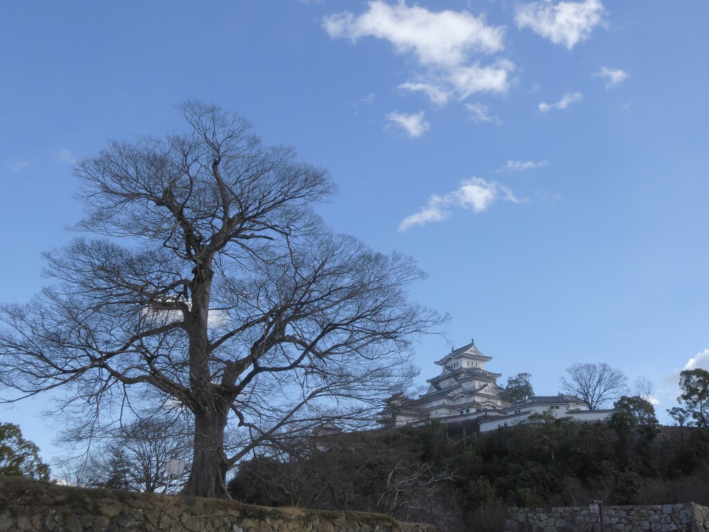 姫路城
