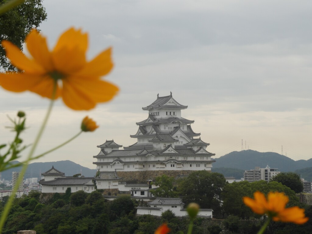 姫路城