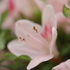 散策にて