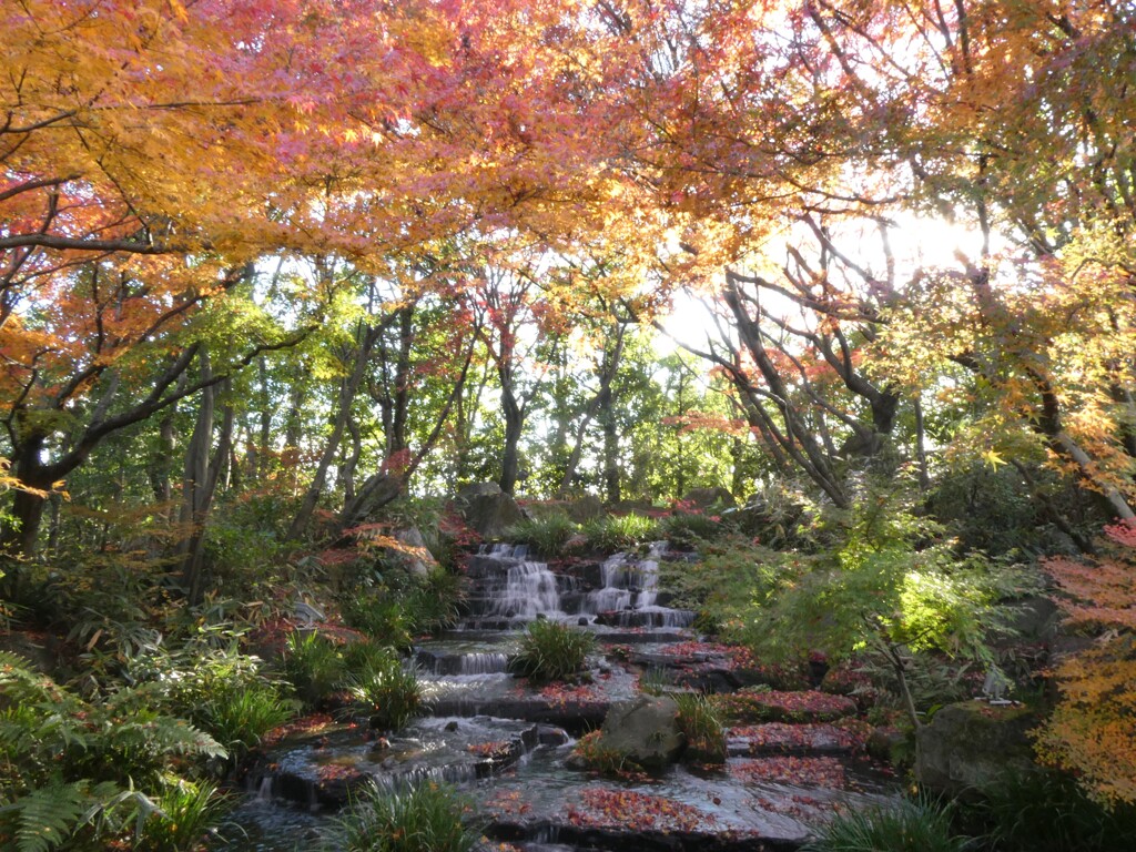 姫路城西御屋敷跡庭園　好古園