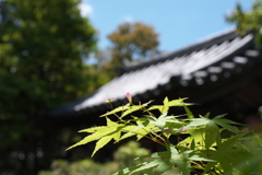 小さな幸せ