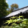 小さな幸せ