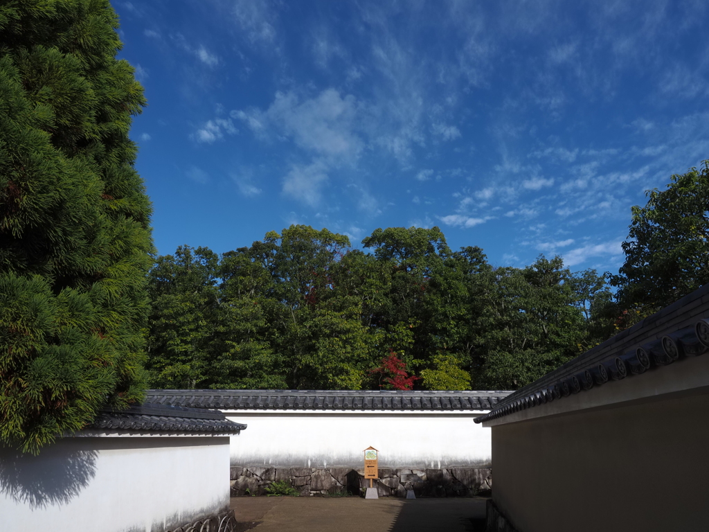姫路城西御屋敷跡庭園 好古園