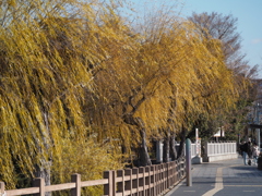 散歩　姫路城　⑤