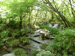 初夏の庭園