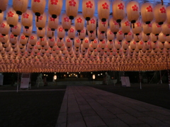 姫路靖國神社 新年万灯祭