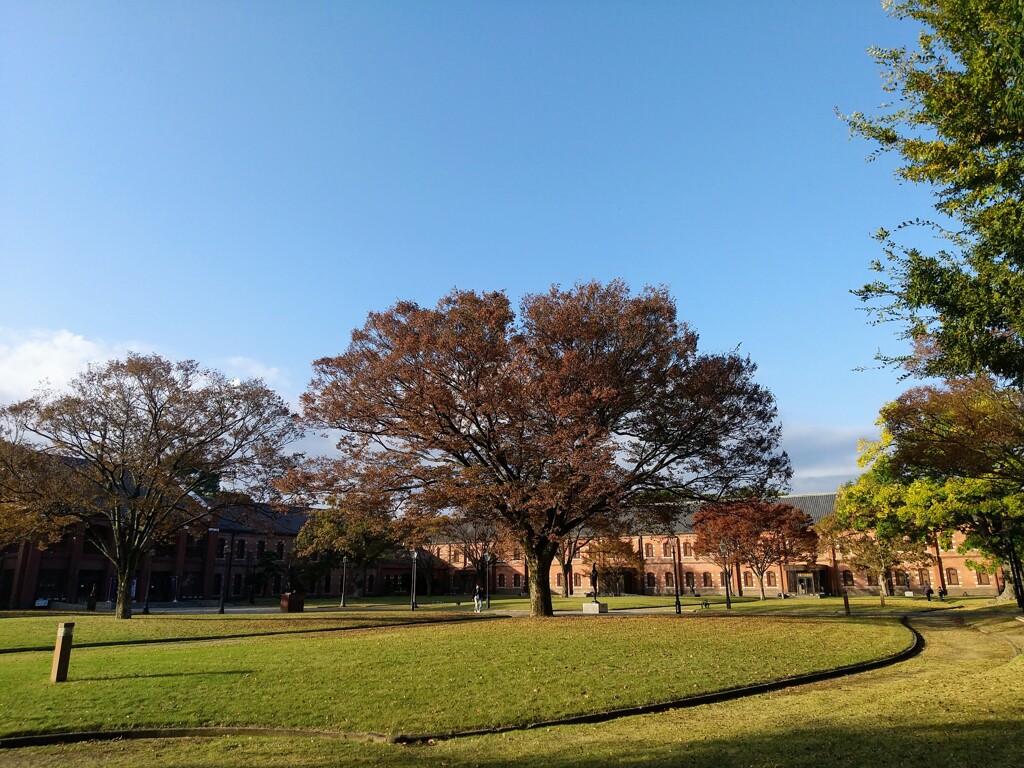 姫路市立美術館