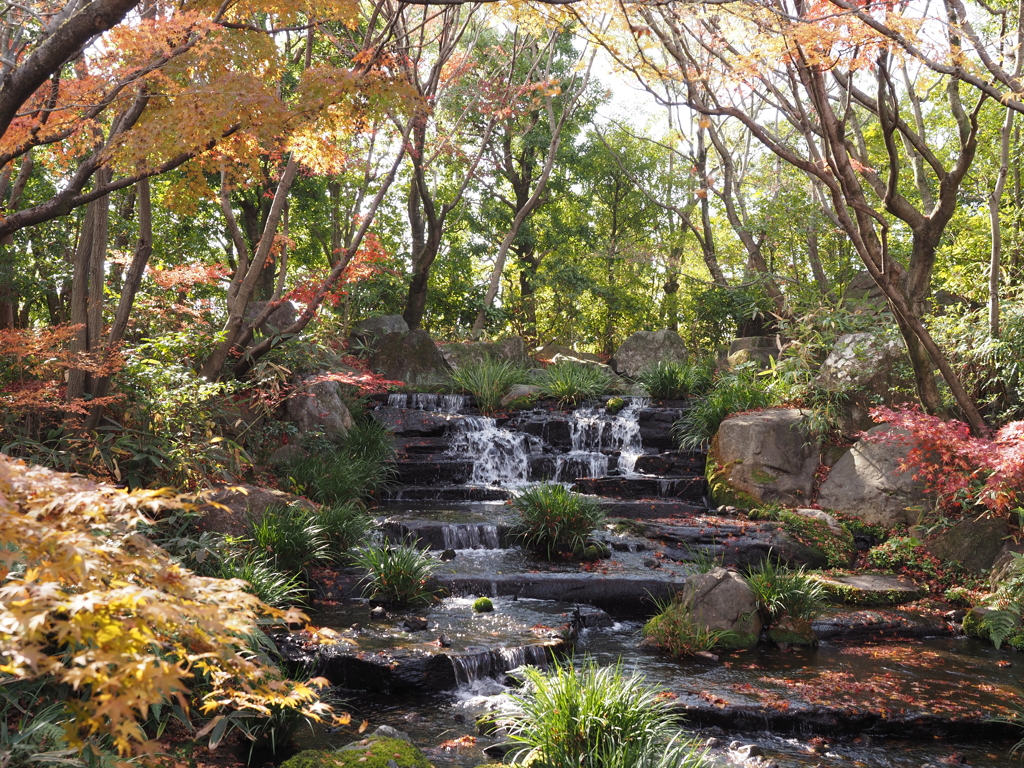 姫路城西御屋敷跡庭園　好古園　庭園　紅葉