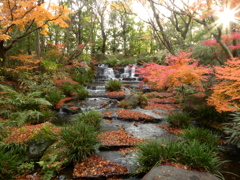 姫路城西御屋敷跡庭園　　好古園