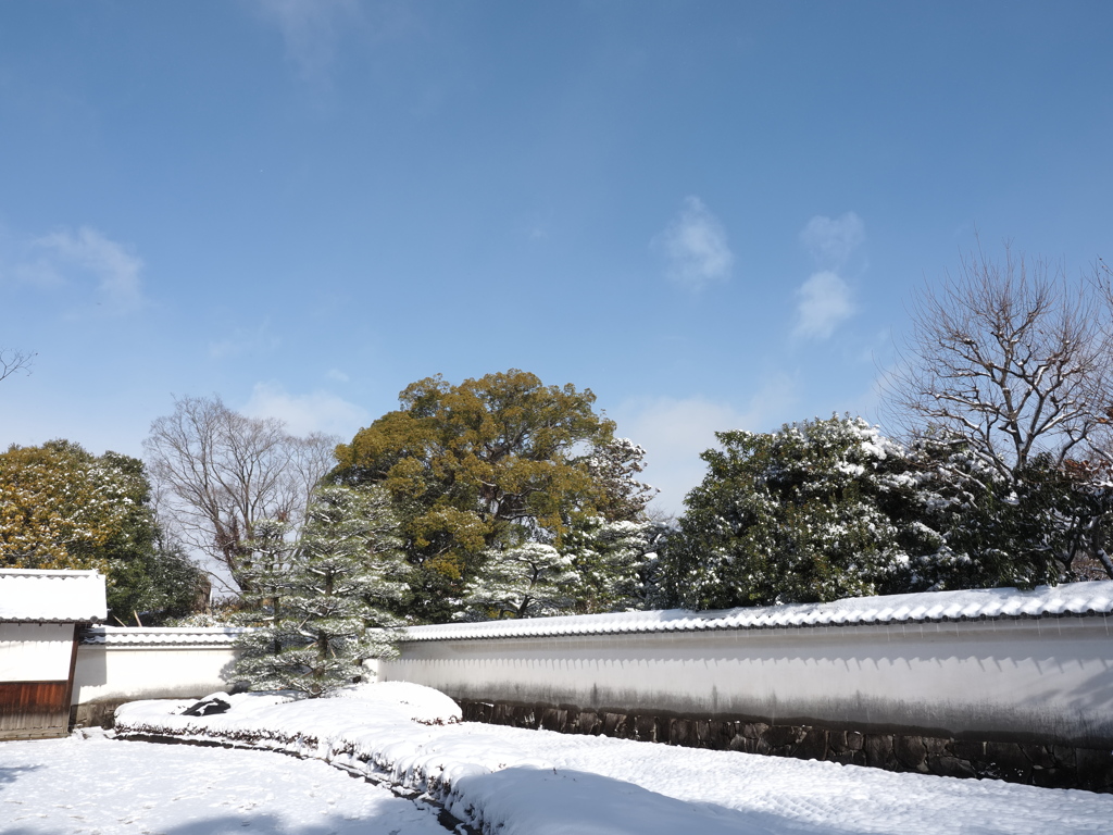 好古園　雪景色