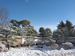 好古園　雪景色　２