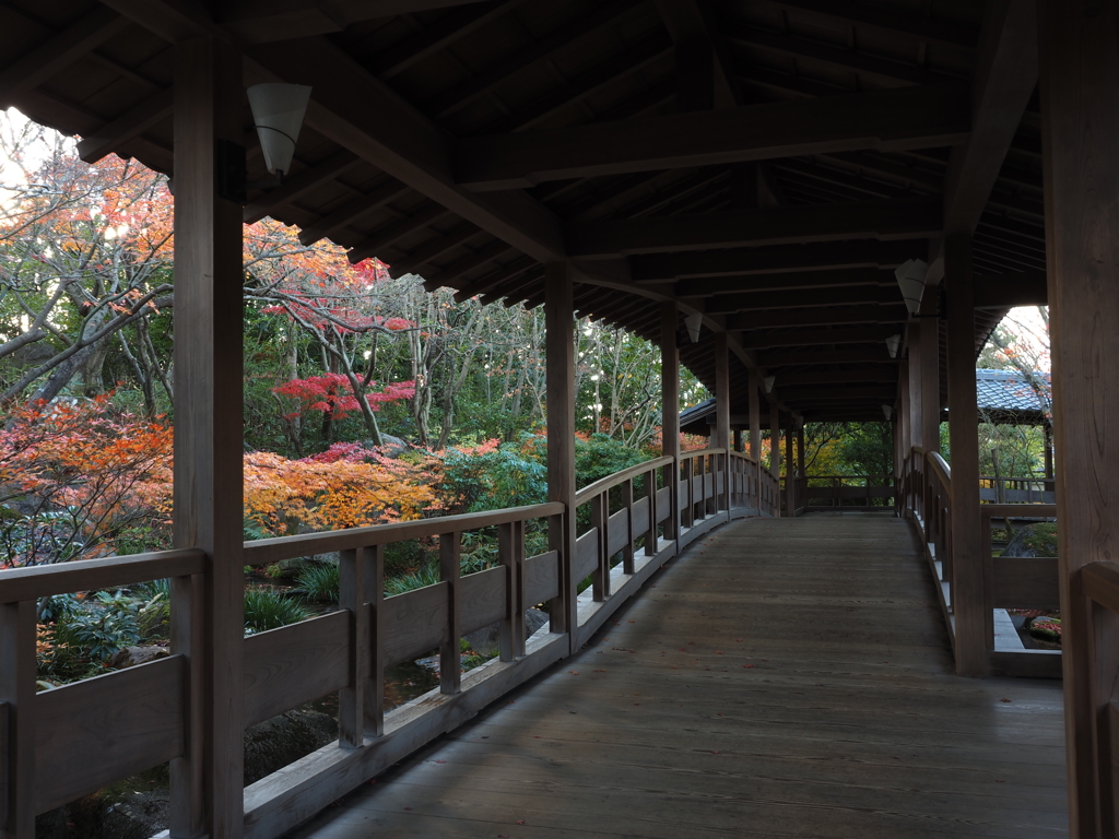 姫路城西御屋敷跡庭園　好古園　紅葉