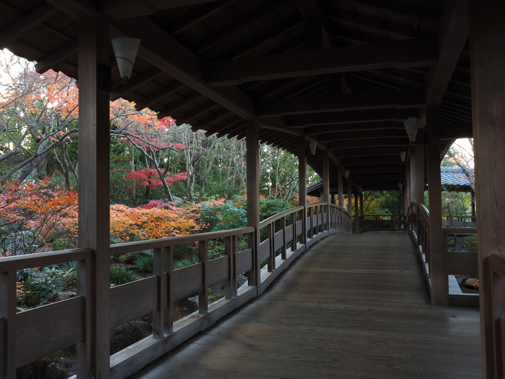 姫路城西御屋敷跡庭園　好古園　紅葉