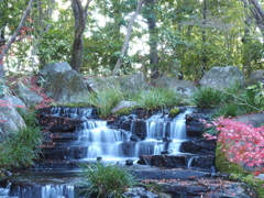 好古園　庭園　滝