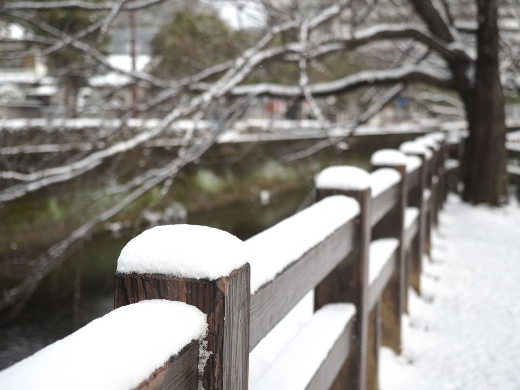 千姫の小径　雪景色　2