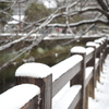 千姫の小径　雪景色　2
