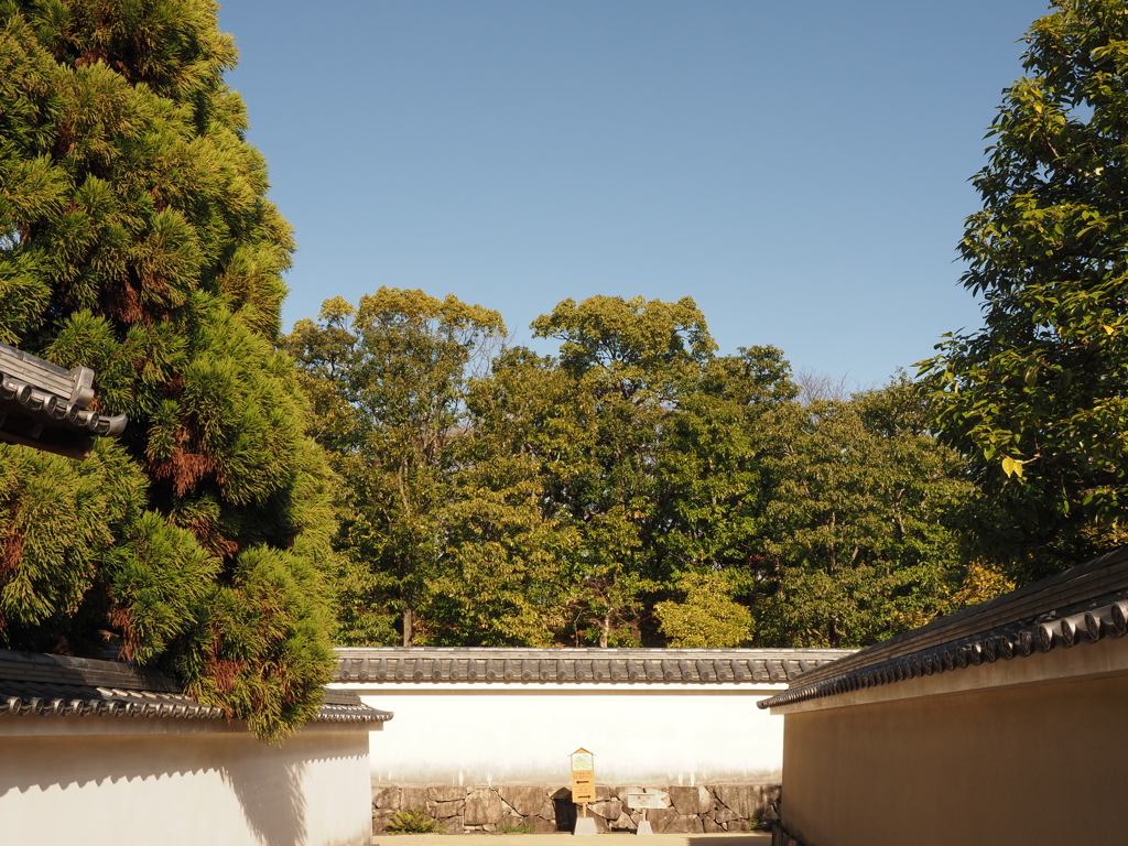姫路城西御屋敷跡庭園　　 好古園