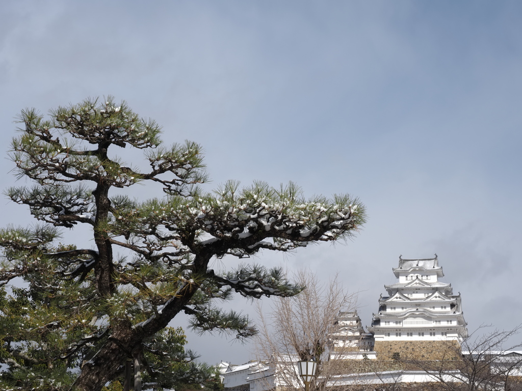 姫路城　雪化粧