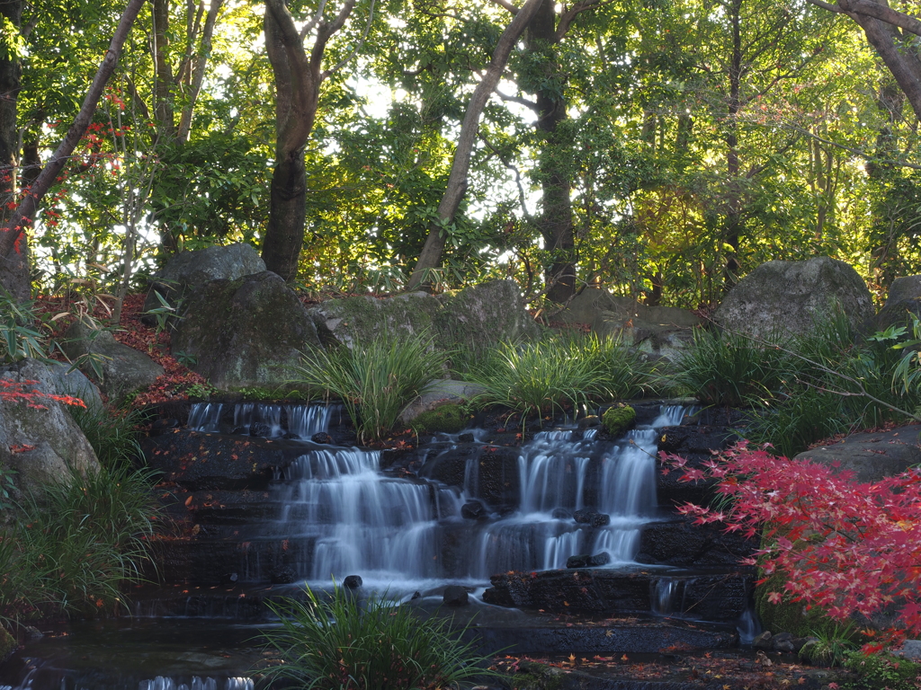 姫路城西御屋敷跡庭園　好古園　庭園　紅葉