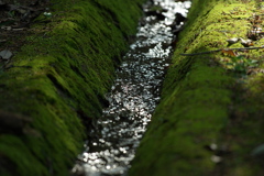 生命の水