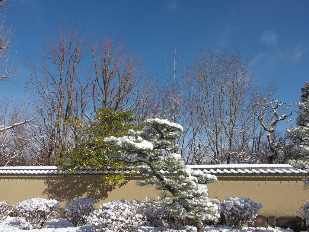 姫路城西御屋敷跡庭園　好古園　雪景色