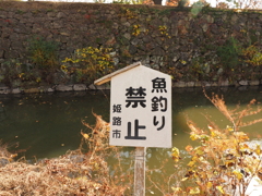 駄目よ～ダメダメ！