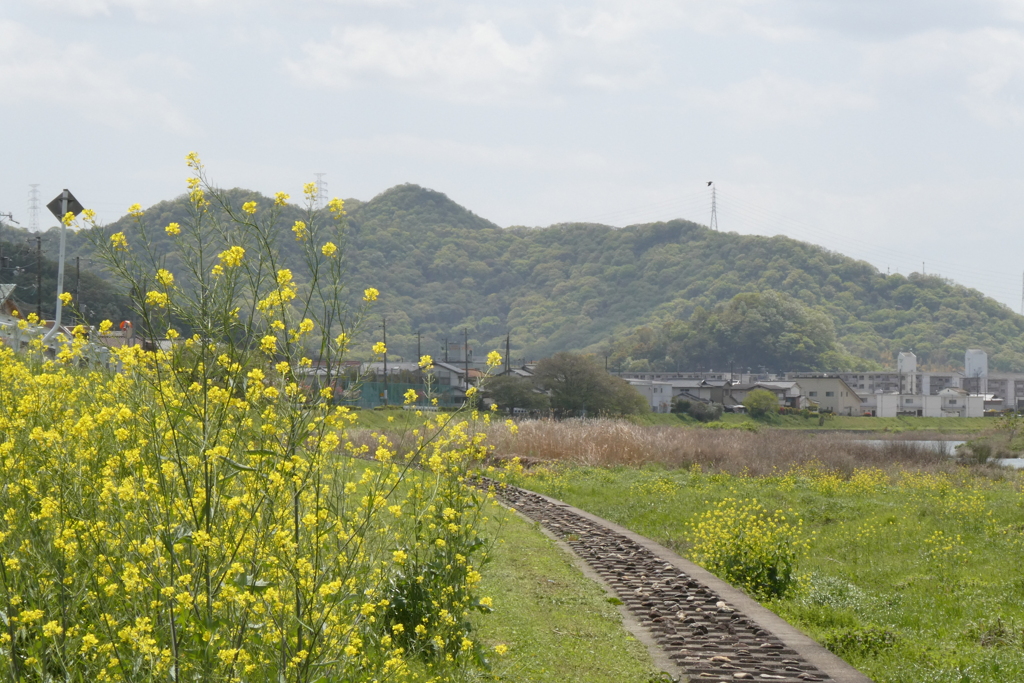 夢前川　散策