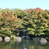 姫路城西御屋敷跡庭園　好古園　紅葉と滝