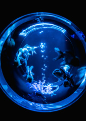 0C18D378-C0DB-42D6-A67E-8DD09985F7DD