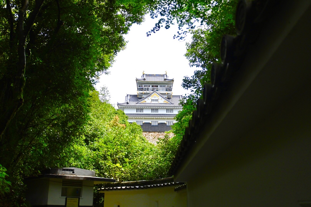 Gifu Castle