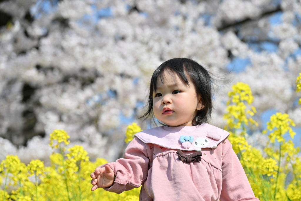 春風