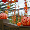 Jack-o'-Lantern